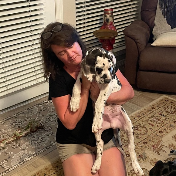 Meet your Posher, Stephanie - Picture 1 of 1